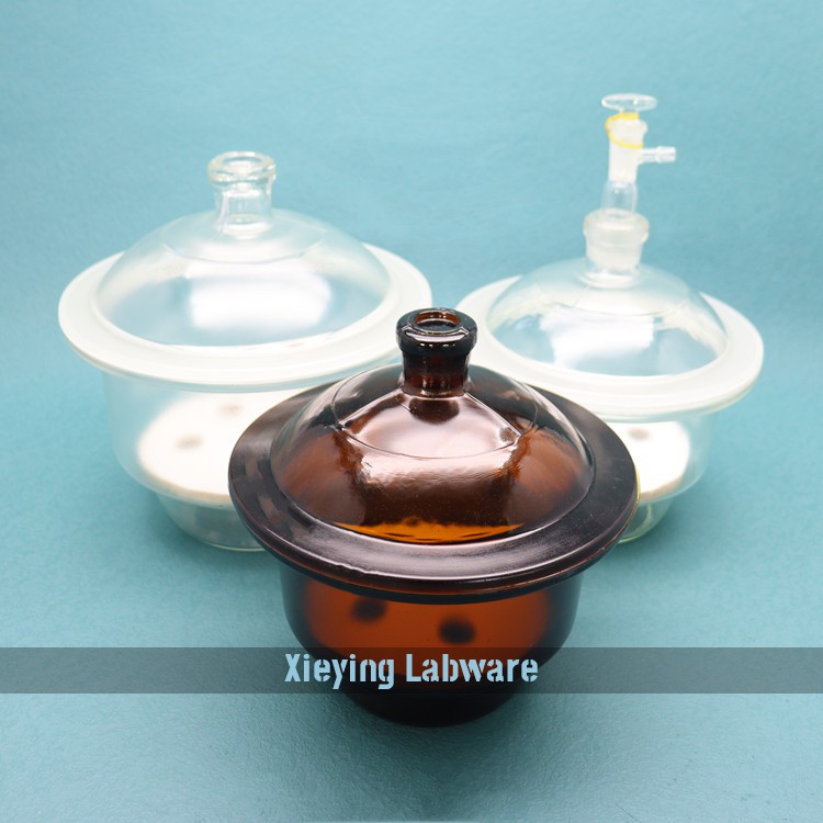 Lab Desiccator