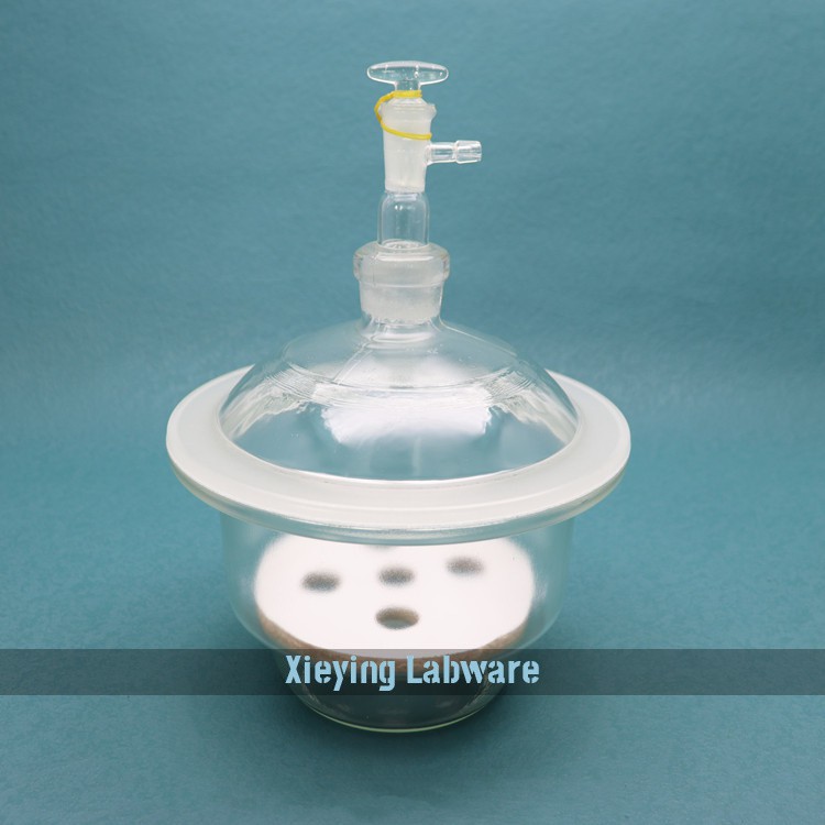 Glass Desiccator 2