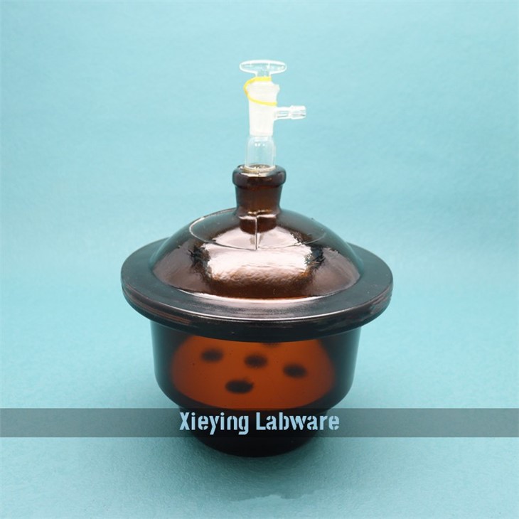Glass Desiccator