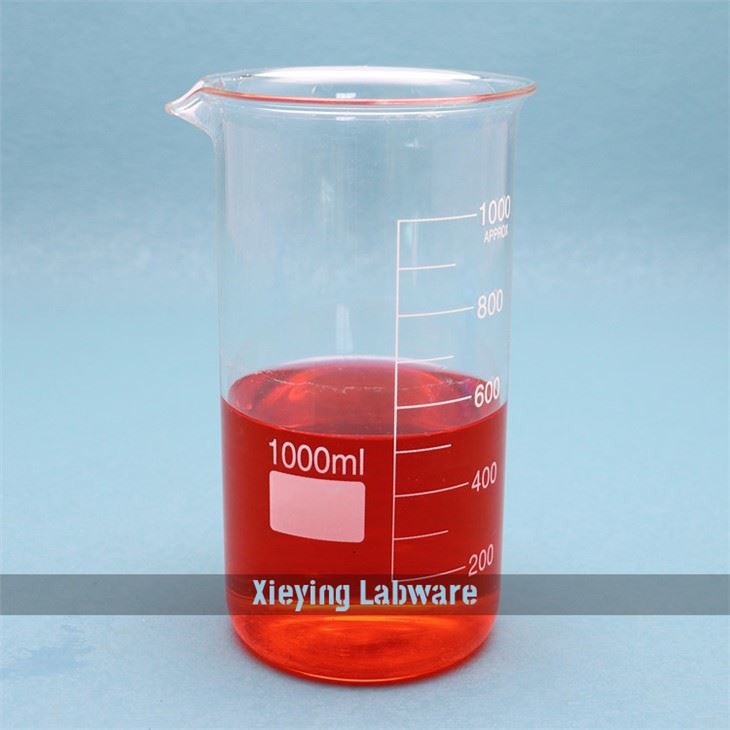 Tall Form Glass Beaker